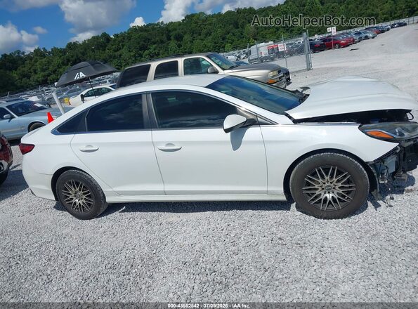 5NPE24AF9JH620117 2018 HYUNDAI SONATA White Widok wnętrza z tyłu