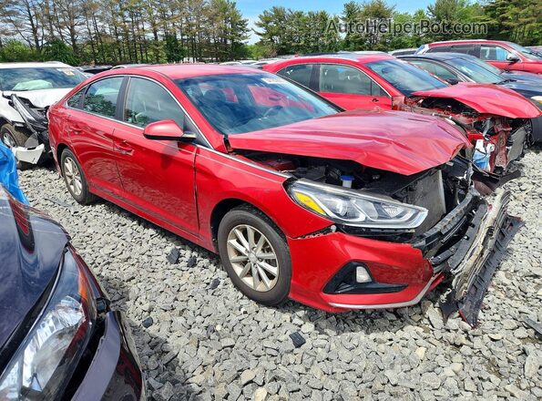 5NPE24AF9KH794903 2019 HYUNDAI SONATA Red Front right