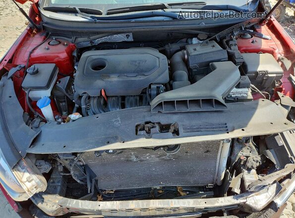 5NPE24AF9KH794903 2019 HYUNDAI SONATA Red Rear interior view