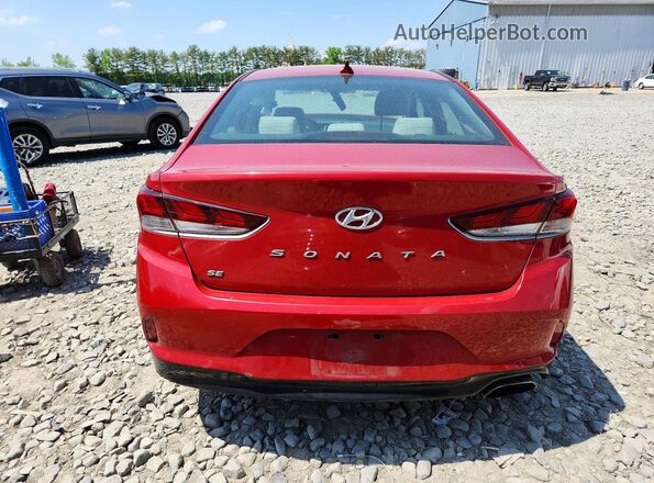 5NPE24AF9KH794903 2019 HYUNDAI SONATA Red Rear view
