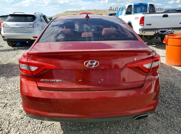 5NPE24AFXGH279206 2016 HYUNDAI SONATA Красный Вид сзади