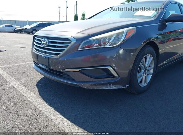 5NPE24AFXGH327299 2016 HYUNDAI SONATA Brown Widok z przodu