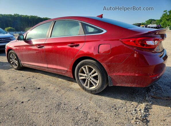 5NPE24AFXGH337606 2016 HYUNDAI SONATA Red Հետևի ձախ