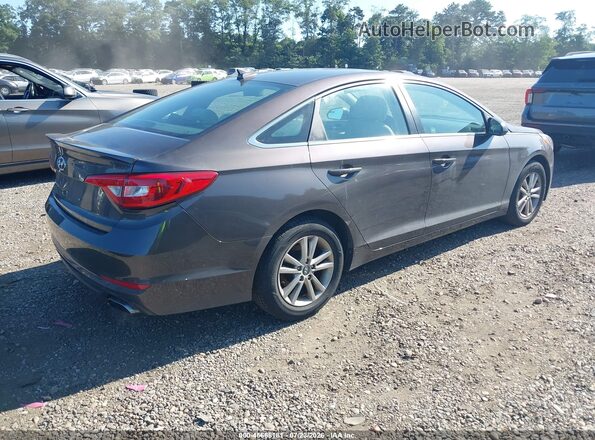 5NPE24AFXGH356432 2016 HYUNDAI SONATA Brown Задня права чверть