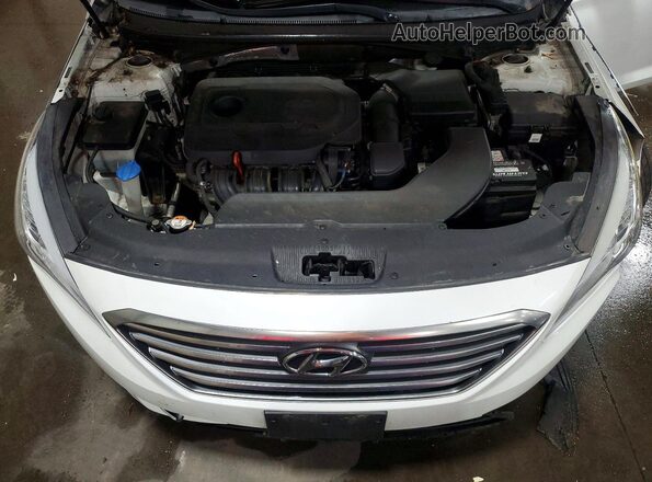 5NPE24AFXGH356561 2016 HYUNDAI SONATA White Rear interior view