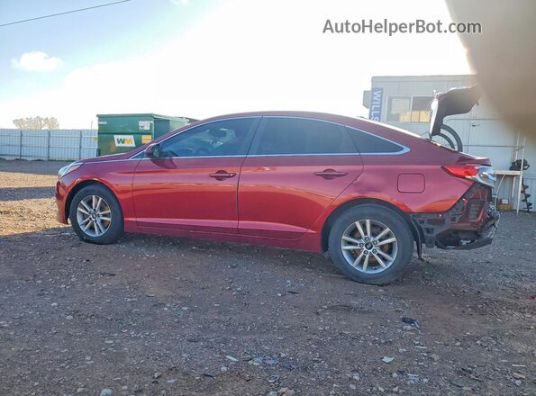 5NPE24AFXGH379869 2016 HYUNDAI SONATA Red უკანა მარცხენა