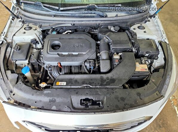 5NPE24AFXHH491718 2017 HYUNDAI SONATA White Widok wnętrza z tyłu