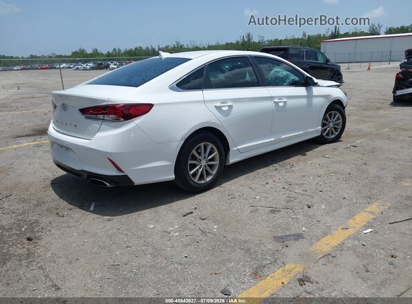 5NPE24AFXJH604492 2018 HYUNDAI SONATA White Tył prawy