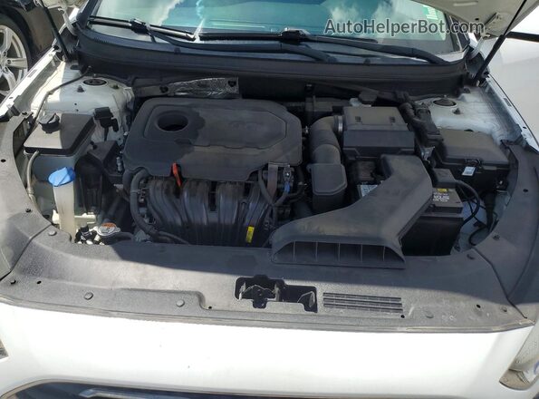 5NPE24AFXJH605755 2018 HYUNDAI SONATA White Вид задньої частини салону