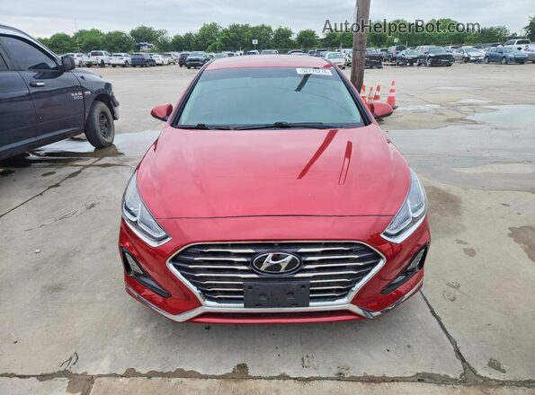 5NPE24AFXKH732703 2019 HYUNDAI SONATA Red Widok z przodu