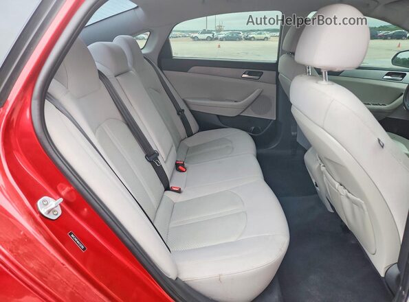 5NPE24AFXKH732703 2019 HYUNDAI SONATA Red Widok tylnych siedzeń