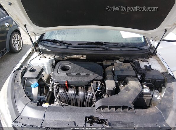 5NPE24AFXKH752045 2019 HYUNDAI SONATA White Widok z tyłu