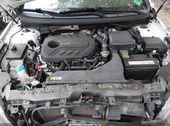 5NPE34AB5HH457518 2017 HYUNDAI SONATA White Rear view