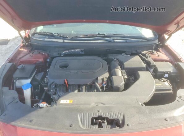 5NPE34AF0GH395379 2016 HYUNDAI SONATA Красный Вид задней части салона