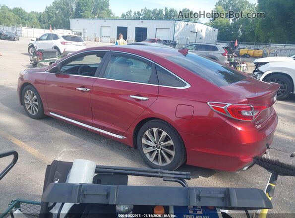 5NPE34AF0GH428901 2016 HYUNDAI SONATA Red Tył lewy