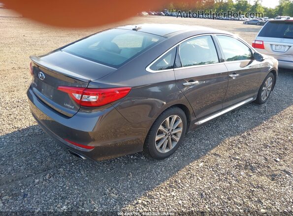 5NPE34AF0GH431314 2016 HYUNDAI SONATA Gray უკანა მარჯვენა