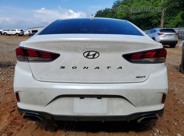 5NPE34AF0KH774536 2019 HYUNDAI SONATA Белый Вид сзади