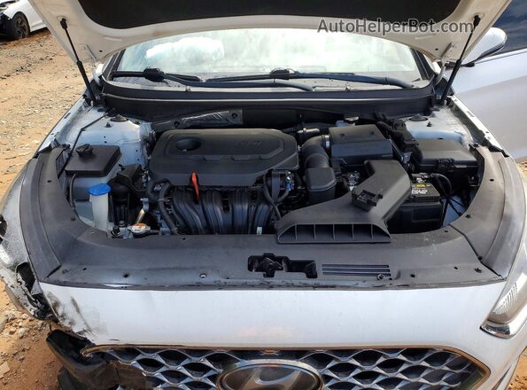 5NPE34AF0KH774536 2019 HYUNDAI SONATA Белый Вид задней части салона