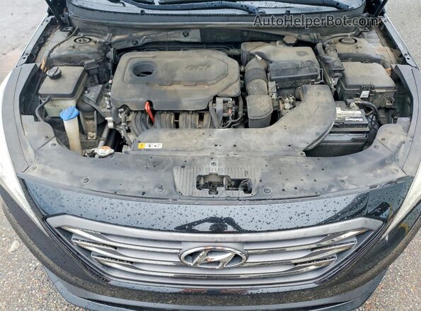 5NPE34AF1GH323185 2016 HYUNDAI SONATA Black Սալոնի հետևի տեսք