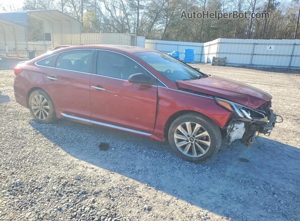 5NPE34AF1GH429409 2016 HYUNDAI SONATA Burgundy Front right