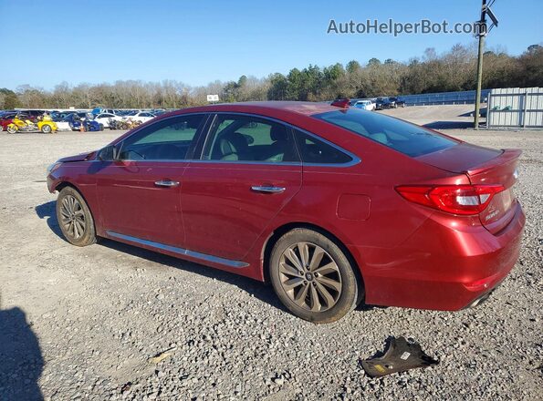 5NPE34AF1GH429409 2016 HYUNDAI SONATA Burgundy Rear left