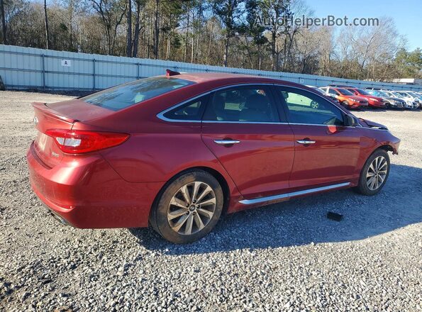 5NPE34AF1GH429409 2016 HYUNDAI SONATA Burgundy Rear right