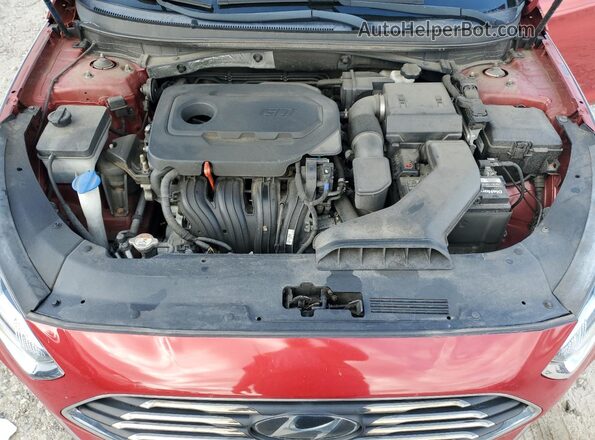 5NPE34AF1JH663685 2018 HYUNDAI SONATA Красный Вид задней части салона