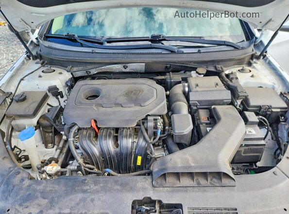 5NPE34AF1JH682429 2018 HYUNDAI SONATA White Սալոնի հետևի տեսք