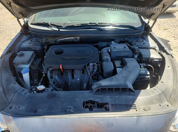 5NPE34AF1KH733719 2019 HYUNDAI SONATA Серый Вид задней части салона