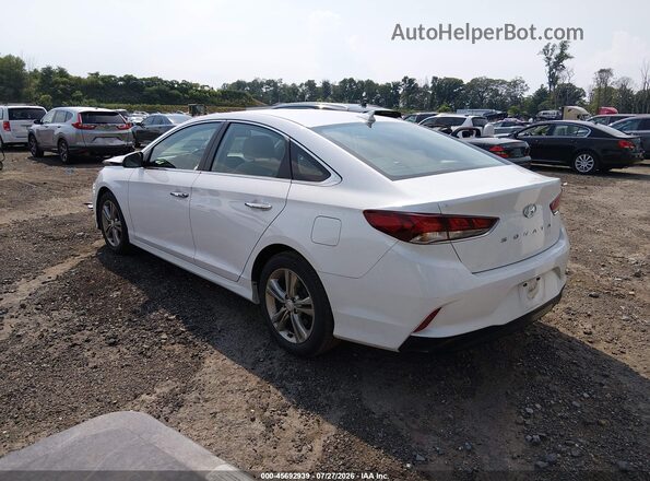 5NPE34AF1KH817491 2019 HYUNDAI SONATA White Задня ліва чверть