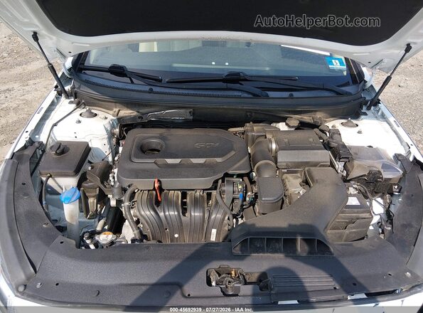 5NPE34AF1KH817491 2019 HYUNDAI SONATA White Вид ззаду