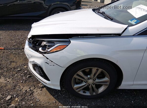 5NPE34AF1KH817491 2019 HYUNDAI SONATA White 