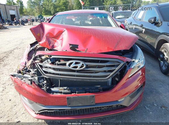5NPE34AF2GH276149 2016 HYUNDAI SONATA Красный Вид задней части салона