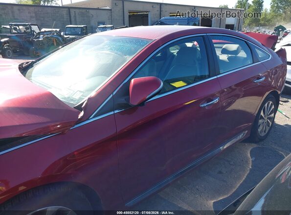 5NPE34AF2GH276149 2016 HYUNDAI SONATA Красный 
