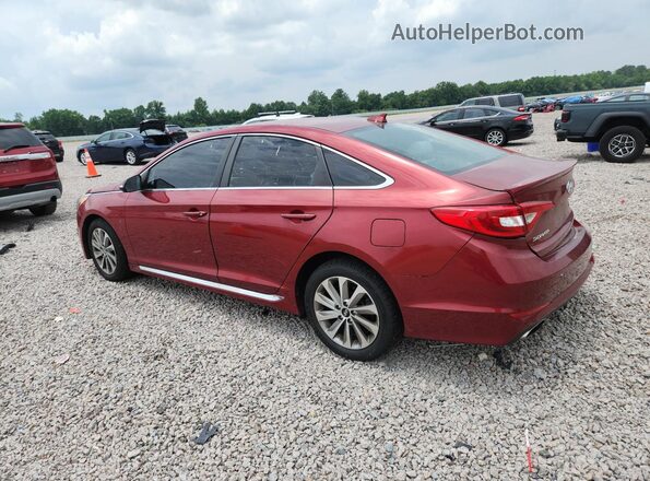 5NPE34AF2GH277432 2016 HYUNDAI SONATA Red Rear left