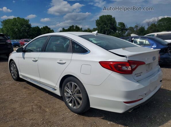 5NPE34AF2GH343252 2016 HYUNDAI SONATA White უკანა მარცხენა