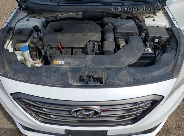 5NPE34AF2GH343252 2016 HYUNDAI SONATA White უკანა სალონის ხედი