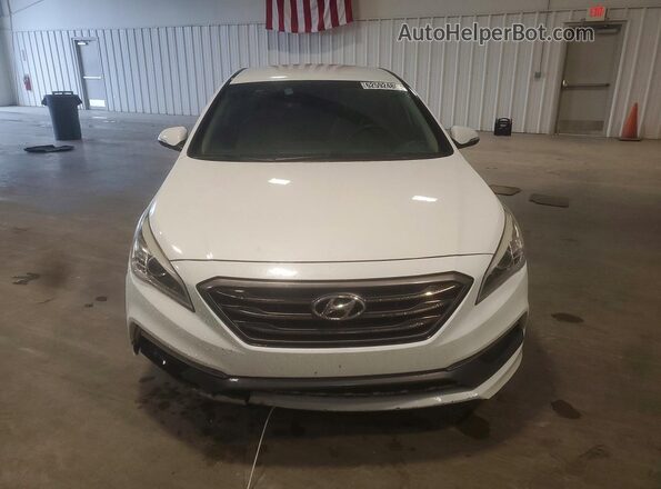 5NPE34AF2HH561399 2017 HYUNDAI SONATA White Front view