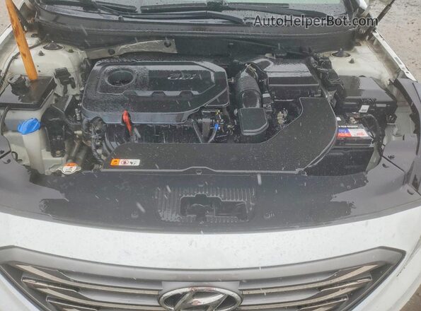 5NPE34AF2HH561399 2017 HYUNDAI SONATA White Rear interior view
