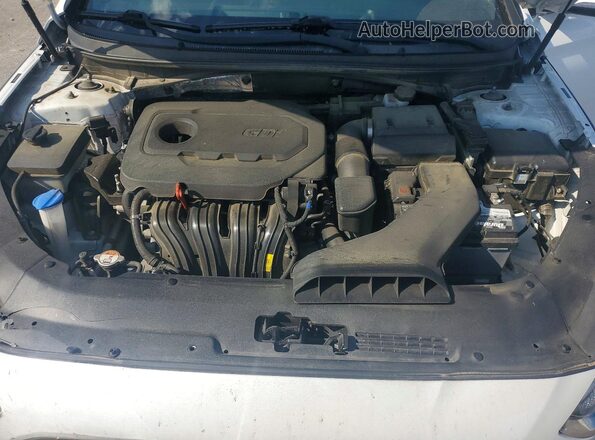 5NPE34AF2JH603043 2018 HYUNDAI SONATA White Սալոնի հետևի տեսք