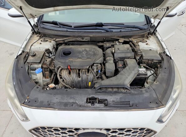 5NPE34AF2JH633529 2018 HYUNDAI SONATA White Widok wnętrza z tyłu