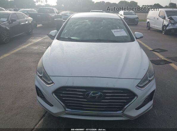 5NPE34AF2JH637743 2018 HYUNDAI SONATA Белый Вид задней части салона