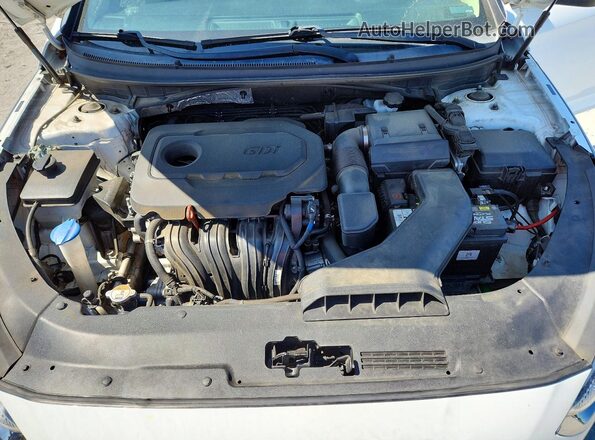 5NPE34AF2KH746236 2019 HYUNDAI SONATA White Вид задньої частини салону
