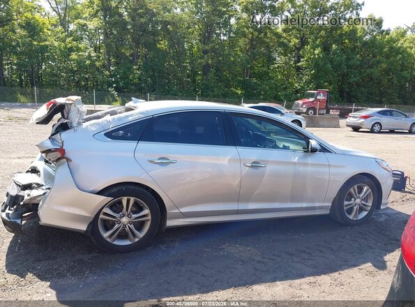 5NPE34AF2KH815068 2019 HYUNDAI SONATA Silver Սալոնի հետևի տեսք