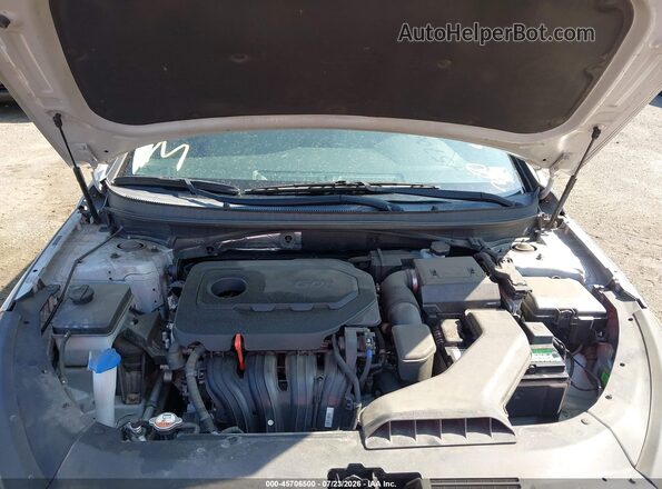5NPE34AF2KH815068 2019 HYUNDAI SONATA Silver Հետևի տեսք