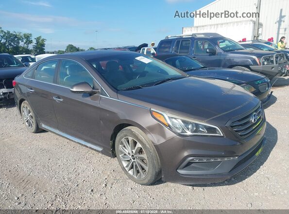 5NPE34AF3GH312303 2016 HYUNDAI SONATA Серый Вид задней части салона