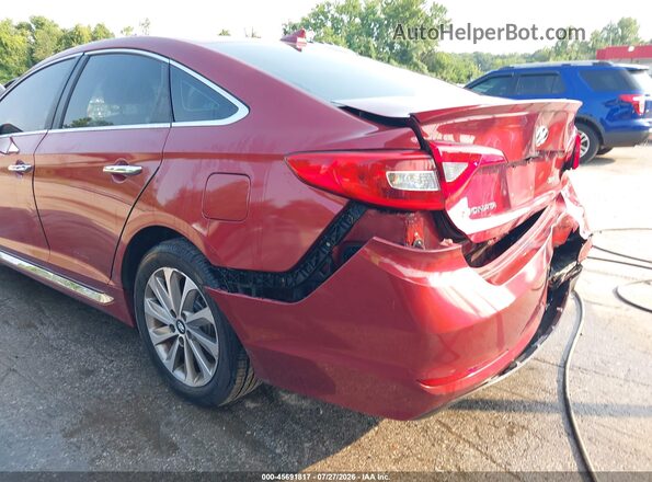 5NPE34AF3GH335399 2016 HYUNDAI SONATA Red 