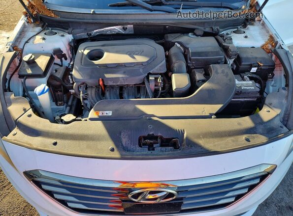 5NPE34AF3GH336584 2016 HYUNDAI SONATA Белый Вид задней части салона
