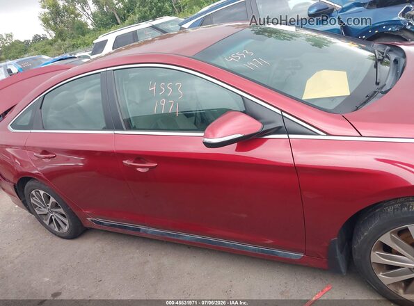5NPE34AF3GH416354 2016 HYUNDAI SONATA Red Rear interior view