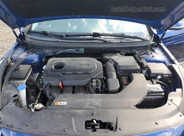 5NPE34AF3GH425622 2016 HYUNDAI SONATA Синий Вид задней части салона